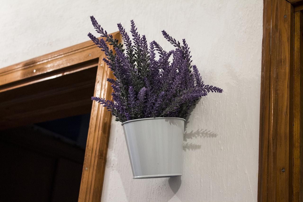 Villa Lavanda Dreznjak Esterno foto