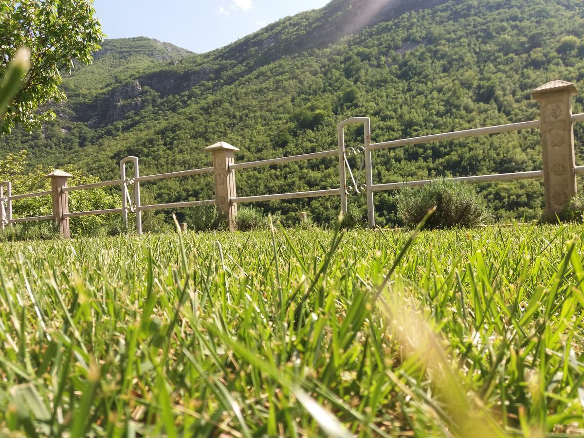 Villa Lavanda Dreznjak Esterno foto