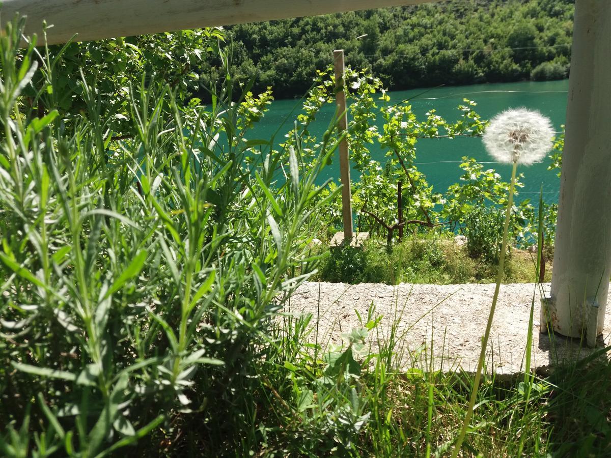 Villa Lavanda Dreznjak Esterno foto