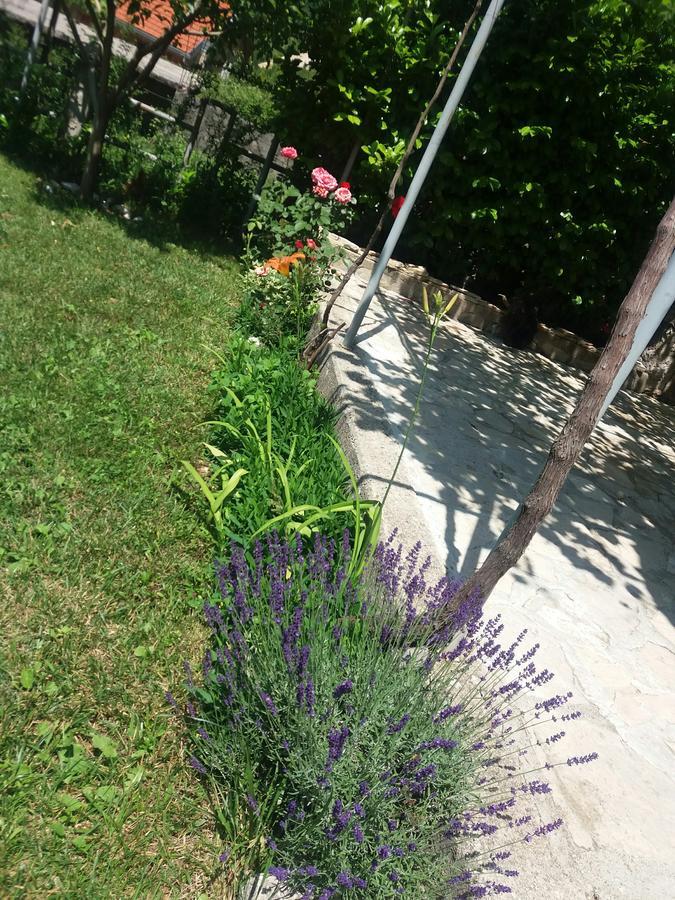 Villa Lavanda Dreznjak Esterno foto