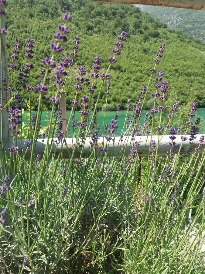 Villa Lavanda Dreznjak Esterno foto