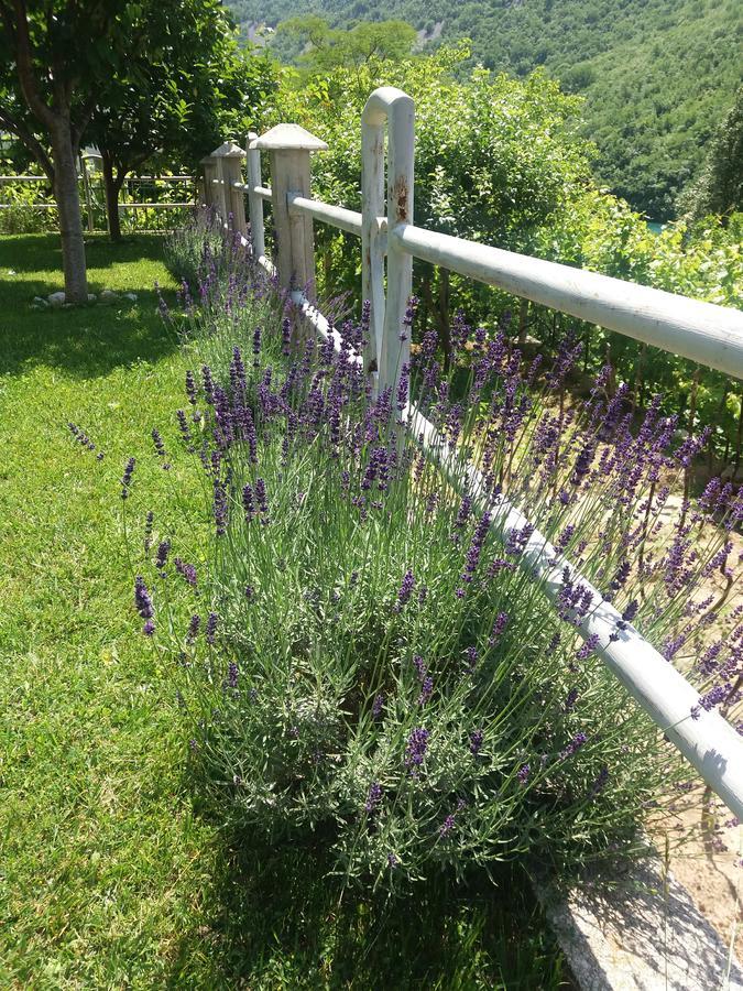 Villa Lavanda Dreznjak Esterno foto