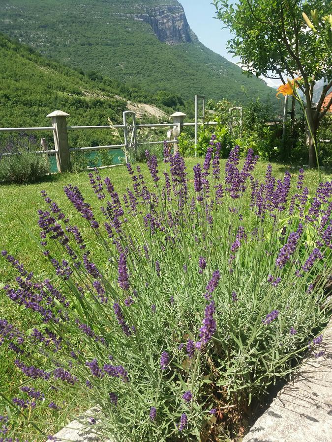 Villa Lavanda Dreznjak Esterno foto