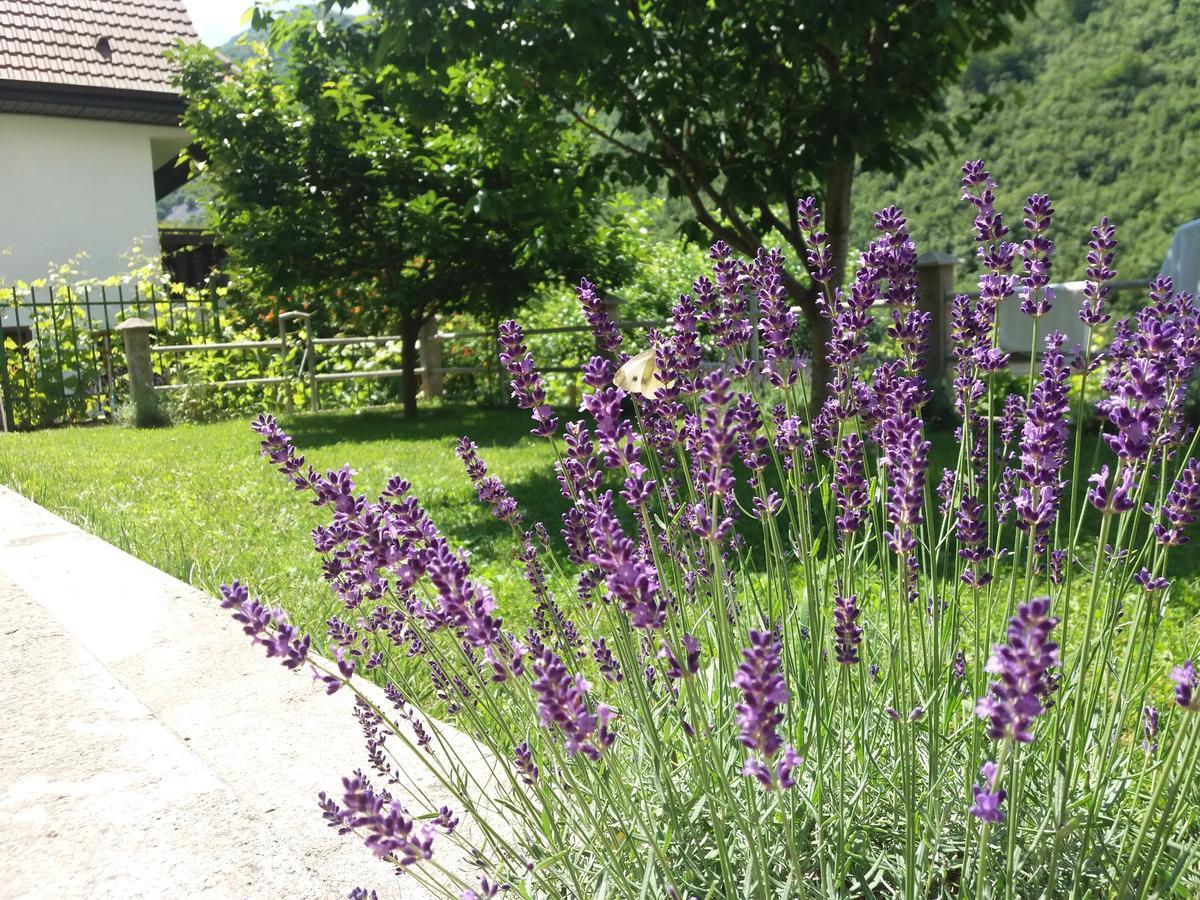 Villa Lavanda Dreznjak Esterno foto